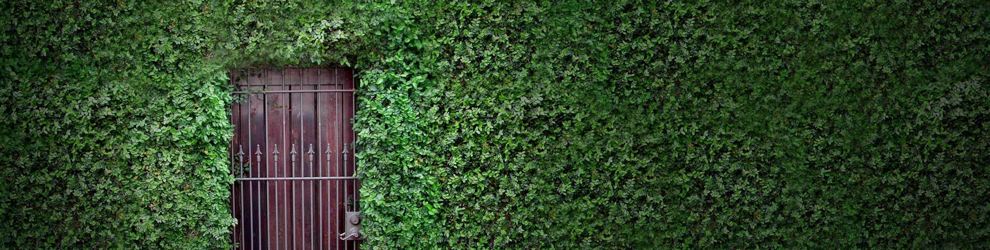 Slide background